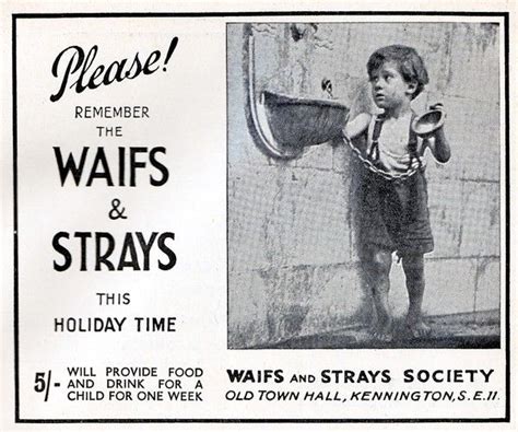 waifs and strays meaning.